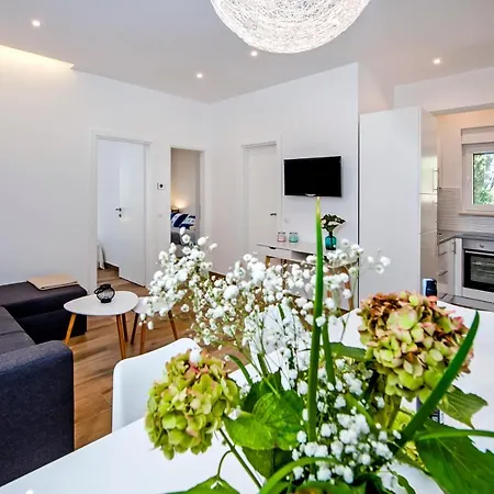Apartmani Brajkovic Rovigno Esterno foto