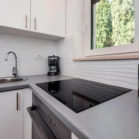 Apartmani Brajkovic Rovigno Esterno foto