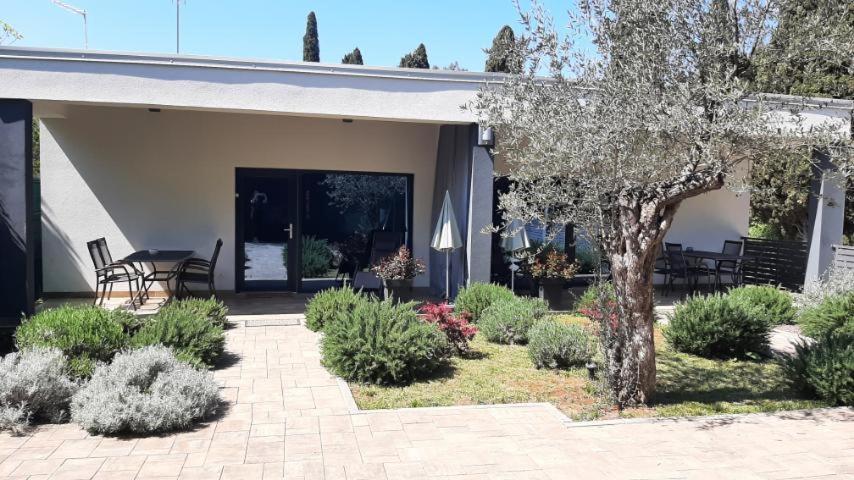 Apartment Brajkovic *